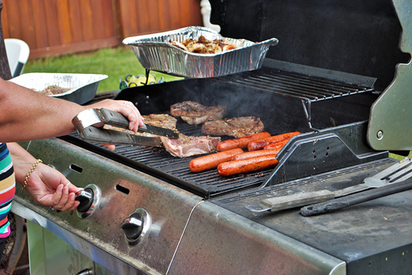 BBQ Grills BBQ Grills
