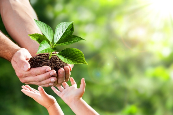adult hands handing soil with sprout to a child's hands depicting eco-friendly propane