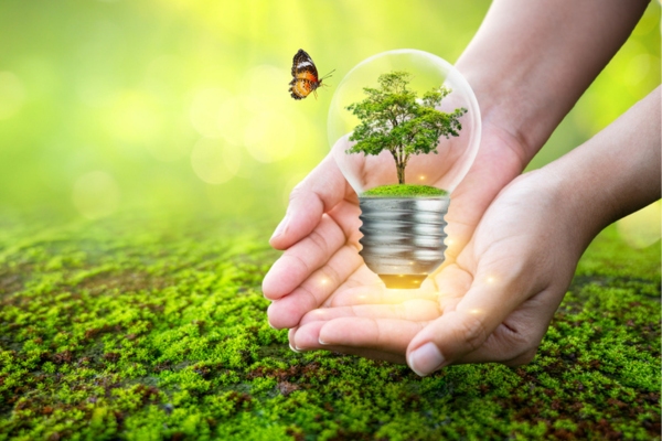 tree inside a lightbulb with butterfly perched on the side depicting propane being safe for the environment