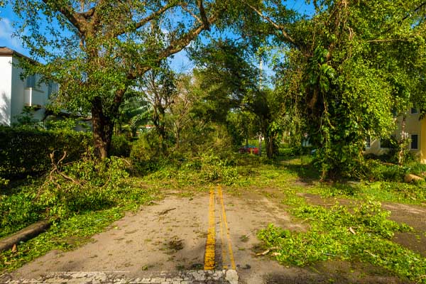 hurricane aftermath and emergency propane delivery hurricane aftermath and emergency propane delivery