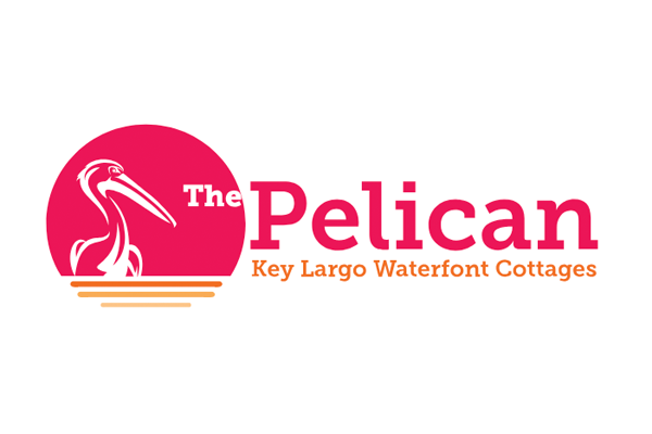 the Pelican